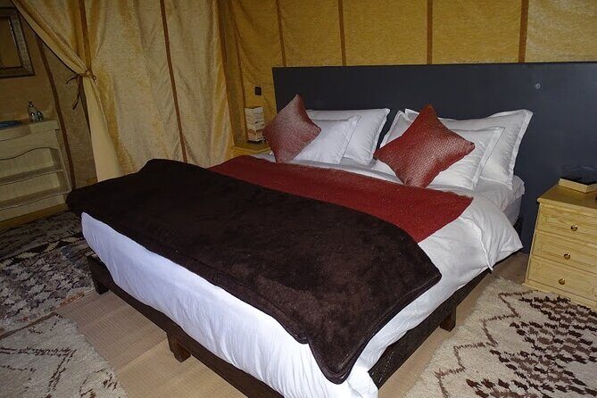 Camel ride & overnight in desert camp - Why Travelers Love This Tour