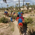 Camel Ride & Quad Bike tours in the palm grove of Marrakech - What Makes This Tour Stand Out?