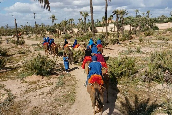 Camel Ride & Quad Bike tours in the palm grove of Marrakech - What Makes This Tour Stand Out?