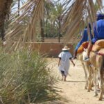Camel Ride & Quad Biking Half Day in Marrakech - Pricing & Value