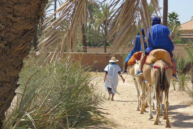 Camel Ride & Quad Biking Half Day in Marrakech - Pricing & Value