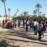 Camel Ride Tour in Marrakech - The Value of This Camel Ride Tour
