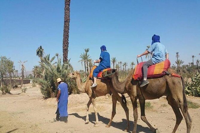 Camel ride tour in Marrakech - The Value of This Tour