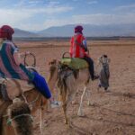 Camel Ride with Berber Lifestyle and Dinner in Agafay Desert - Practical Details & Tips