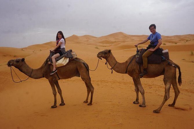 Camel Ride With Luxury Desert Camp And Night In Merzouga Dunes - Final Thoughts: Who Is This Tour Best For?
