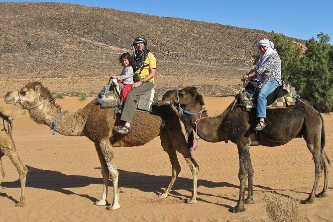 Camel ride - The Sum Up