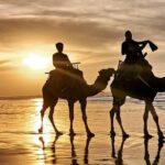 Camel Riding - The Value of This Camel Ride
