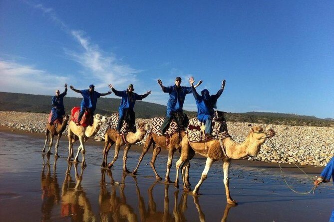 Camel Riding Agadir - Who Should Consider This Tour?