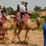Camel riding in Agadir for Cruise ship Passengers - Authenticity and Comfort
