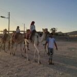 Camel Riding Tour in Luxor West Bank - The Experience: A Day in the Life on Camelback