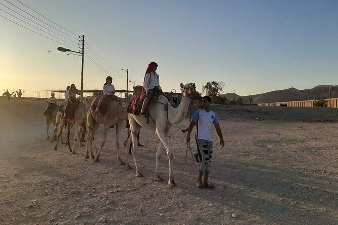 Camel Riding Tour in Luxor West Bank - The Experience: A Day in the Life on Camelback