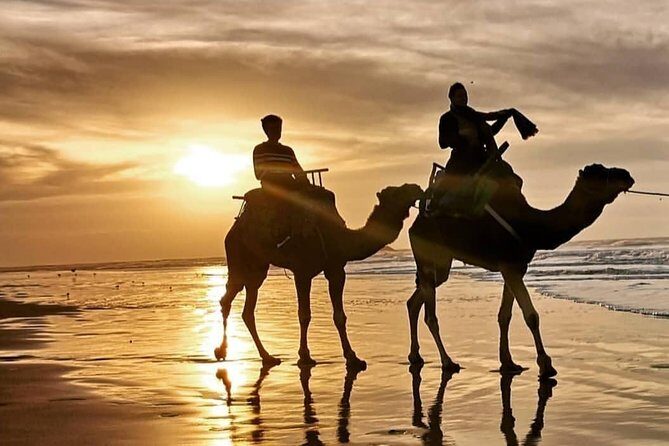 Camel Riding - The Value of This Camel Ride
