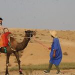 Camel Safari and Dinner Show in the Agafay Desert - The Itinerary: Breaking Down the Day