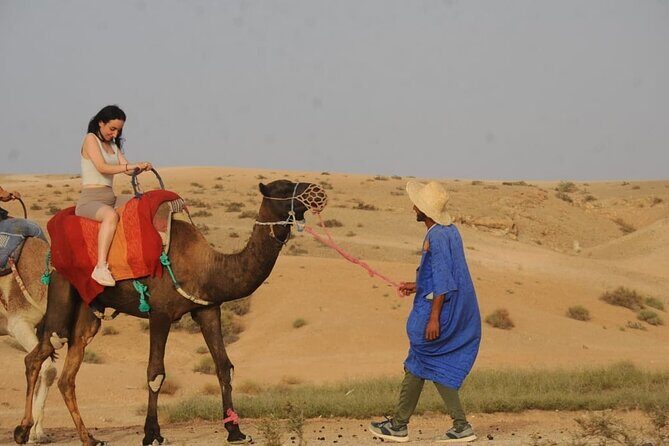 Camel Safari and Dinner Show in the Agafay Desert - The Itinerary: Breaking Down the Day