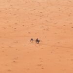 Camel Tours in Wadi Rum Desert | Magic Bedouin Star - Who Should Consider This Tour?