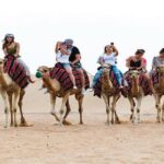 Camel Trekking and Morning Safari with Sand Boarding - The Experience: What to Expect