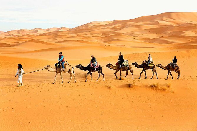Camel Trekking Dubai with Dune Bashing and Sand Boarding - Authentic Experiences Highlighted by Reviewers