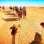 Camel Trekking Dubai with Morning Dune Bashing and Sand Boarding - Why This Tour Stands Out