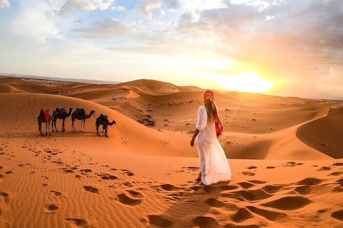 Camel Trekking in Dubai Desert with BBQ and Live Shows - Practical Tips and Considerations