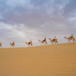 Camel Trekking in Open Red Dunes Desert - Who Will Love This Tour?
