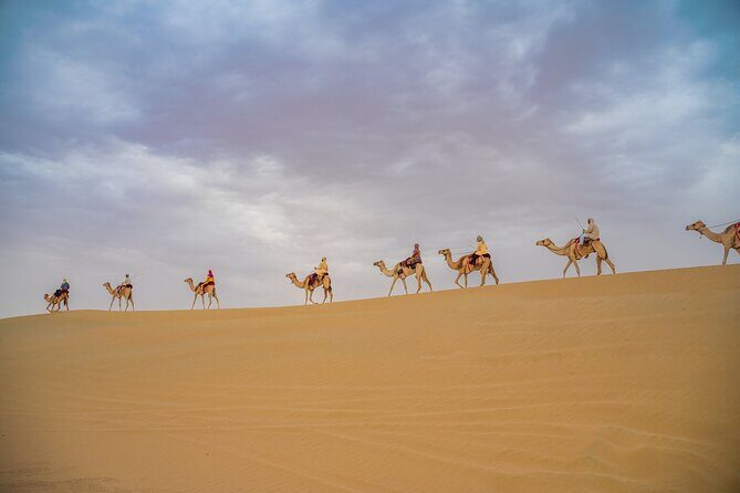 Camel Trekking in Open Red Dunes Desert - Who Will Love This Tour?