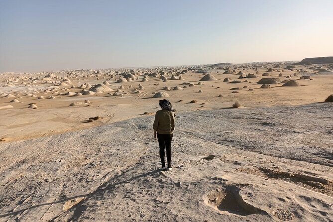 Camping in the White & Black Deserts (Bahariya Oasis) & Cairo Private transfer - Practical Details and What to Expect