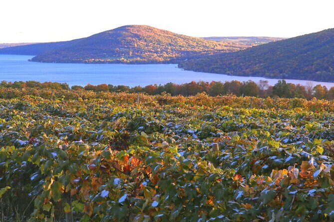 Canandaigua Wine Trail Experience - Analyzing the Value