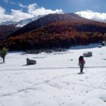 Cangas de Onís: Route in the Vegabaño Forest with lunch at a mountain refuge - The Sum Up: Is This Tour Worth It?
