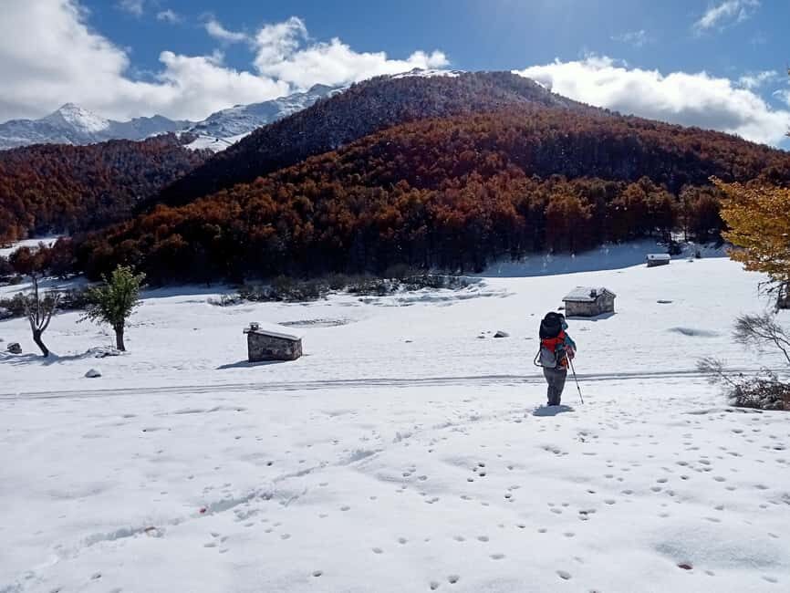 Cangas de Onís: Route in the Vegabaño Forest with lunch at a mountain refuge - The Sum Up: Is This Tour Worth It?