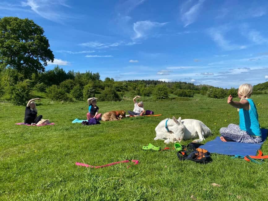 Canterbury: Yoga with Goats and Sheep - The Experience Itself: What You Can Expect