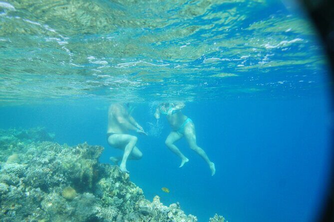 Canyon and Blue Hole Snorkeling Trip with Lunch from Dahab - Authentic Insights from Reviewers