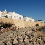 Cap Bon Guided Day Tour from Tunis - The Practicalities: Transport, Price & Group Size
