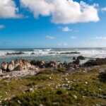 Cape Agulhas Southern most Tip of African Continent Full Day Tour - Introduction