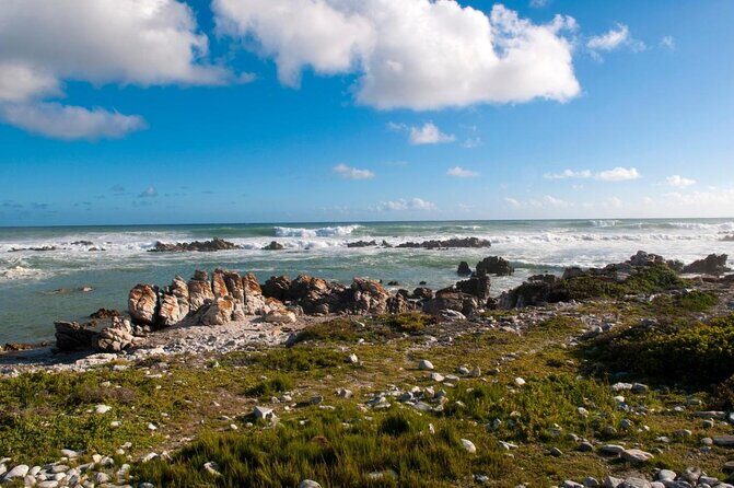 Cape Agulhas Southern most Tip of African Continent Full Day Tour - Introduction