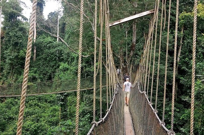 Cape Coast Day Tour From Accra - Practical Details and What to Expect