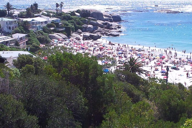 Cape of Good Hope and Cape Winelands Day Tour from Cape Town - Why This Tour Works Well