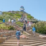 Cape Of Good Hope and Penguins Full Day Small Group Tour from Cape Town - Who Would Enjoy This Tour?
