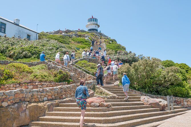 Cape Of Good Hope and Penguins Full Day Small Group Tour from Cape Town - Who Would Enjoy This Tour?