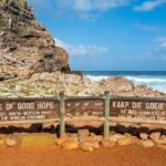 Cape Of Good Hope and Penguins viewing Private Tour - Why This Tour Offers Great Value