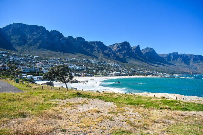 Cape of Good Hope & Boulders Beach Private Tour (Including Lunch) - Practical Tips for Travelers