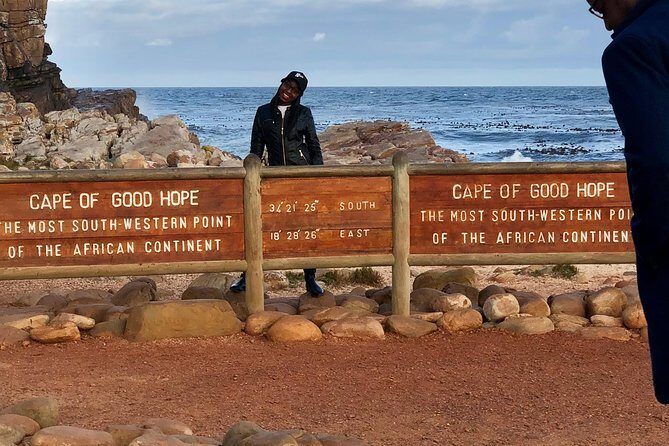 Cape of Good Hope-Penguin-Private Tour Combined With Wine Tasting Full Day Tour - Who Is This Tour Best For?