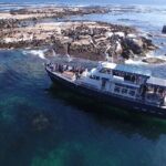 Cape of Good Hope & Penguins from Cape Town Full-Day Private Tour - Final Thoughts