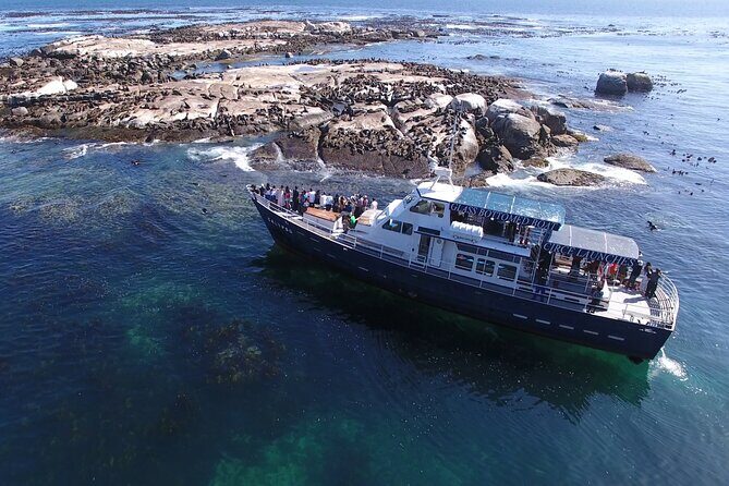 Cape of Good Hope & Penguins from Cape Town Full-Day Private Tour - Final Thoughts