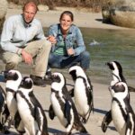 Cape of Good Hope & Penguins Small Group Tour from Cape Town - What Sets This Tour Apart?