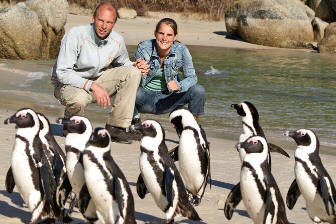 Cape of Good Hope & Penguins Small Group Tour from Cape Town - What Sets This Tour Apart?