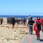 Cape of Good Hope T Mountain Bo-Kaap Penguins Private +Tickets - Who Would Enjoy This Tour?
