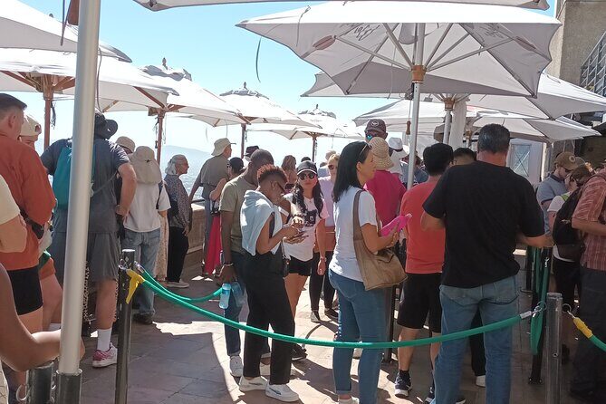 Cape of Good Hope, Table Mountain & Penguins Tour + All Tickets - What Makes This Tour Special?
