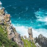 Cape Peninsula & Boulders Beach Day Trip from Cape Town - The Cost and Value