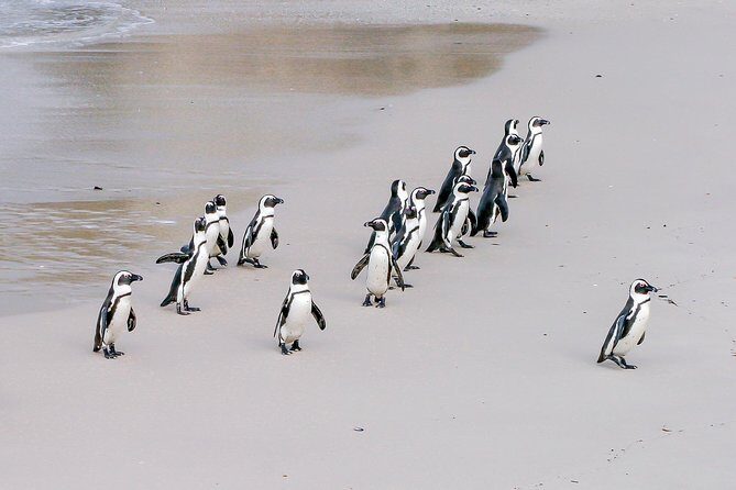 Cape Peninsula Cycle Tour - FAQ: Your Questions Answered