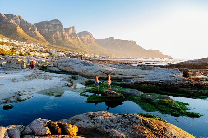 Cape Peninsula Day Tour - The Sum Up